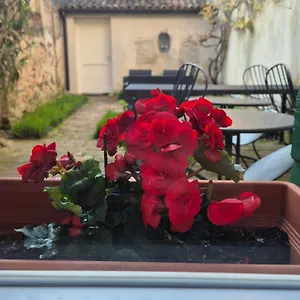 3* Bed and breakfast 19 Borgo Cavour